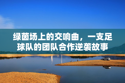 绿茵场上的交响曲，一支足球队的团队合作逆袭故事