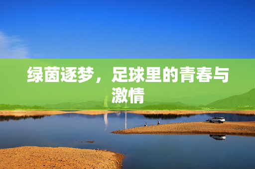 绿茵逐梦，足球里的青春与激情