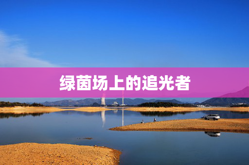 绿茵场上的追光者