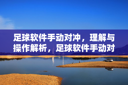 足球软件手动对冲,理解与操作解析,足球软件手动对冲,理解与操作解析