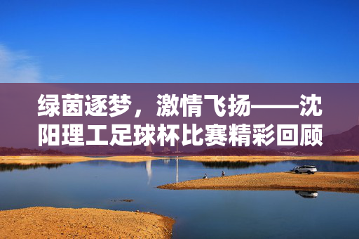 绿茵逐梦，激情飞扬——沈阳理工足球杯比赛精彩回顾