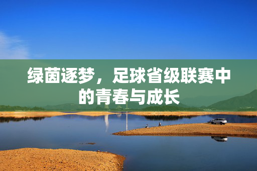 绿茵逐梦，足球省级联赛中的青春与成长