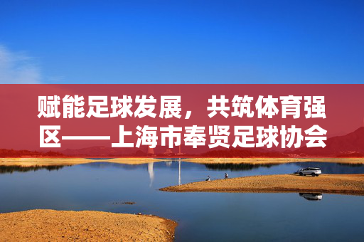 赋能足球发展，共筑体育强区——上海市奉贤足球协会的工作与实践，赋能足球发展，共筑体育强区——上海市奉贤足球协会的工作与实践