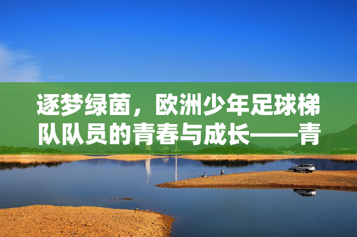 逐梦绿茵，欧洲少年足球梯队队员的青春与成长——青训营里的足球少年