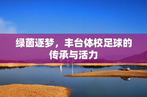 绿茵逐梦,丰台体校足球的传承与活力