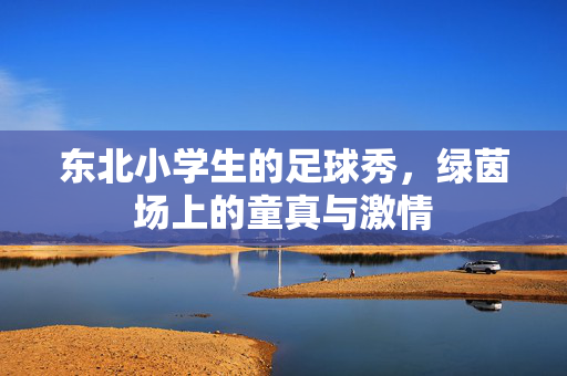 东北小学生的足球秀,绿茵场上的童真与激情