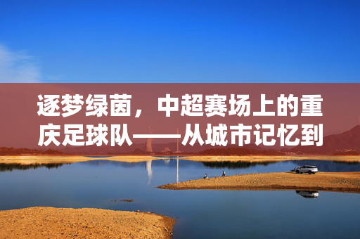 逐梦绿茵，中超赛场上的重庆足球队——从城市记忆到职业联赛的奋斗与荣光，逐梦绿茵，中超赛场上的重庆足球队——从城市记忆到职业联赛的奋斗与荣光
