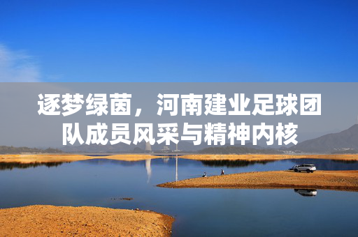 逐梦绿茵，河南建业足球团队成员风采与精神内核