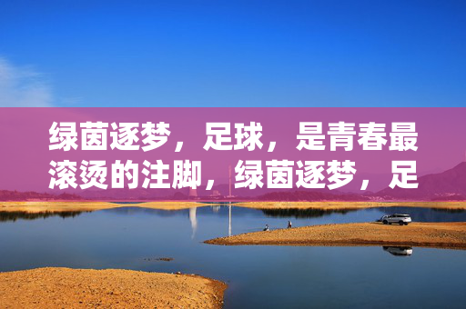 绿茵逐梦，足球，是青春最滚烫的注脚，绿茵逐梦，足球是青春最滚烫的注脚