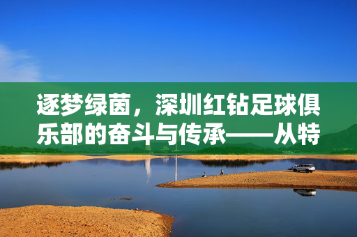 逐梦绿茵，深圳红钻足球俱乐部的奋斗与传承——从特区足球的萌芽到职业化征程的探索