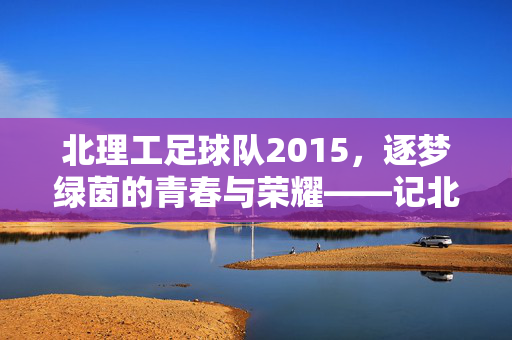 北理工足球队2015，逐梦绿茵的青春与荣耀——记北京理工大学足球运动的历史瞬间