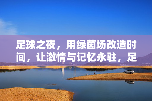 足球之夜，用绿茵场改造时间，让激情与记忆永驻，足球之夜，用绿茵场改造时间，让激情与记忆永驻