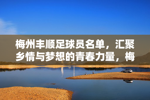 梅州丰顺足球员名单，汇聚乡情与梦想的青春力量，梅州丰顺足球员名单，汇聚乡情与梦想的青春力量