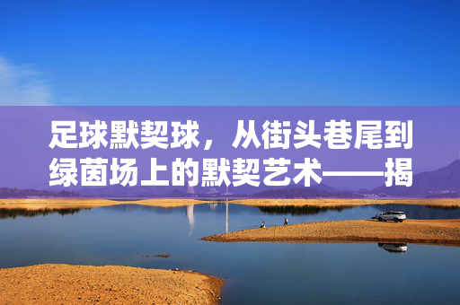 足球默契球，从街头巷尾到绿茵场上的默契艺术——揭秘规则与玩法技巧，足球默契球，从街头巷尾到绿茵场上的默契艺术——揭秘规则与玩法技巧
