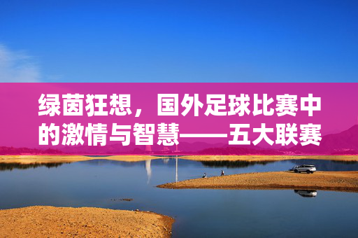 绿茵狂想，国外足球比赛中的激情与智慧——五大联赛的魅力解码，绿茵狂想，国外足球比赛中的激情与智慧——五大联赛的魅力解码
