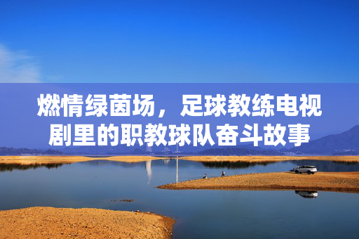 燃情绿茵场，足球教练电视剧里的职教球队奋斗故事