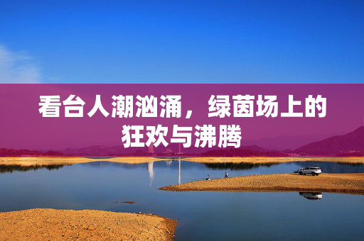 看台人潮汹涌，绿茵场上的狂欢与沸腾