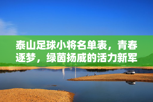 泰山足球小将名单表，青春逐梦，绿茵扬威的活力新军