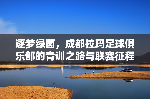 逐梦绿茵，成都拉玛足球俱乐部的青训之路与联赛征程