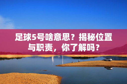 足球5号啥意思？揭秘位置与职责，你了解吗？