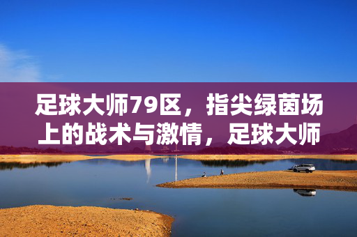 足球大师79区,指尖绿茵场上的战术与激情,足球大师79区,指尖绿茵场上的战术与激情