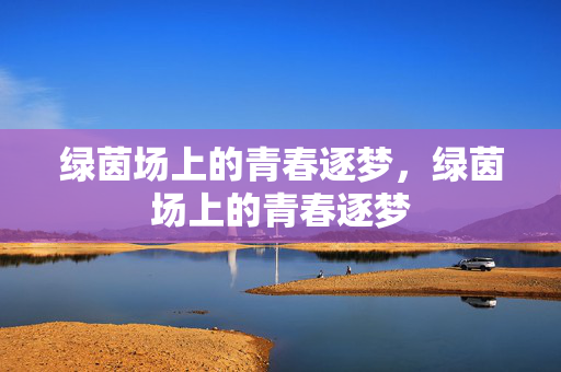 绿茵场上的青春逐梦，绿茵场上的青春逐梦