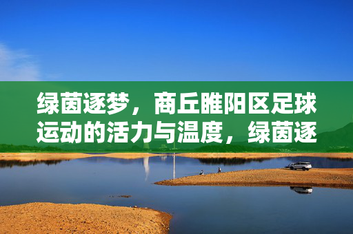 绿茵逐梦,商丘睢阳区足球运动的活力与温度,绿茵逐梦,商丘睢阳区足球运动的活力与温度