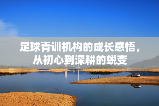 足球青训机构的成长感悟，从初心到深耕的蜕变