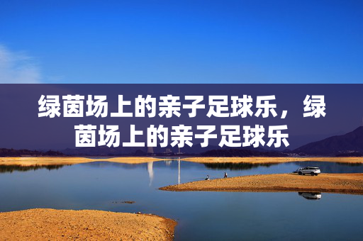 绿茵场上的亲子足球乐,绿茵场上的亲子足球乐