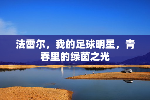 法雷尔，我的足球明星，青春里的绿茵之光