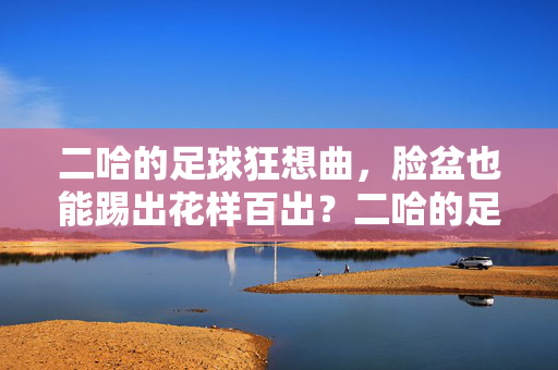 二哈的足球狂想曲，脸盆也能踢出花样百出？二哈的足球狂想曲，脸盆也能踢出花样百出？
