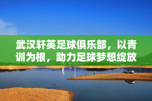 武汉轩英足球俱乐部,以青训为根,助力足球梦想绽放的沃土
