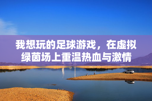 我想玩的足球游戏,在虚拟绿茵场上重温热血与激情