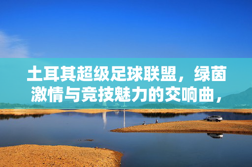 土耳其超级足球联盟，绿茵激情与竞技魅力的交响曲，土耳其超级足球联盟，绿茵激情与竞技魅力的交响曲