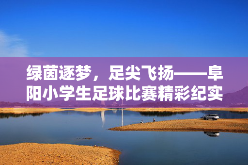 绿茵逐梦，足尖飞扬——阜阳小学生足球比赛精彩纪实