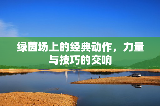 绿茵场上的经典动作，力量与技巧的交响