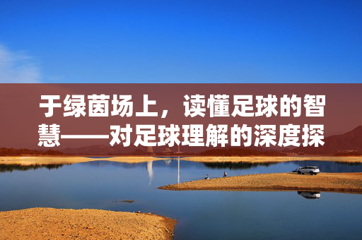 于绿茵场上，读懂足球的智慧——对足球理解的深度探索，于绿茵场上，读懂足球的智慧——对足球理解的深度探索