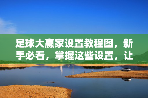 足球大赢家设置教程图，新手必看，掌握这些设置，让你的足球游戏更精彩，足球大赢家设置教程图，新手必看，掌握这些设置让你的足球游戏更精彩