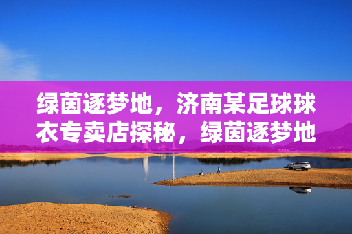 绿茵逐梦地，济南某足球球衣专卖店探秘，绿茵逐梦地，济南某足球球衣专卖店探秘