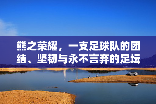 熊之荣耀，一支足球队的团结、坚韧与永不言弃的足坛传奇，熊之荣耀，一支足球队的团结、坚韧与永不言弃的足坛传奇