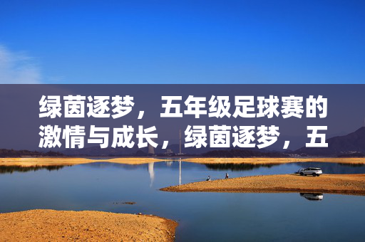 绿茵逐梦，五年级足球赛的激情与成长，绿茵逐梦，五年级足球赛的激情与成长