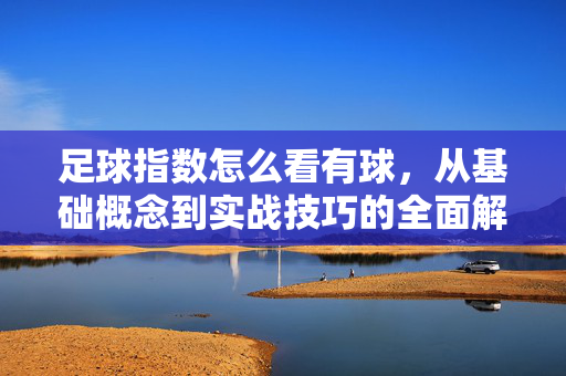 足球指数怎么看有球，从基础概念到实战技巧的全面解析，足球指数看有球，从基础概念到实战技巧的全面解析
