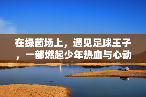 在绿茵场上，遇见足球王子，一部燃起少年热血与心动的小说，绿茵场上遇见足球王子，燃起少年热血与心动