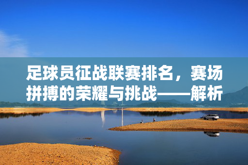 足球员征战联赛排名，赛场拼搏的荣耀与挑战——解析排名背后的球员征途，足球员征战联赛排名，赛场拼搏的荣耀与挑战——解析排名背后的球员征途
