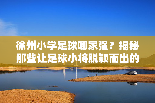 徐州小学足球哪家强?揭秘那些让足球小将脱颖而出的摇篮,徐州小学足球哪家强?揭秘那些让足球小将脱颖而出的摇篮