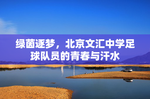 绿茵逐梦，北京文汇中学足球队员的青春与汗水