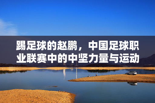 踢足球的赵鹏，中国足球职业联赛中的中坚力量与运动生涯传奇，踢足球的赵鹏，中国足球职业联赛中坚力量与运动生涯传奇