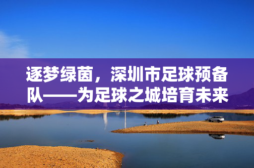 逐梦绿茵,深圳市足球预备队——为足球之城培育未来的希望之星,逐梦绿茵,深圳市足球预备队——为足球之城培育未来的希望之星