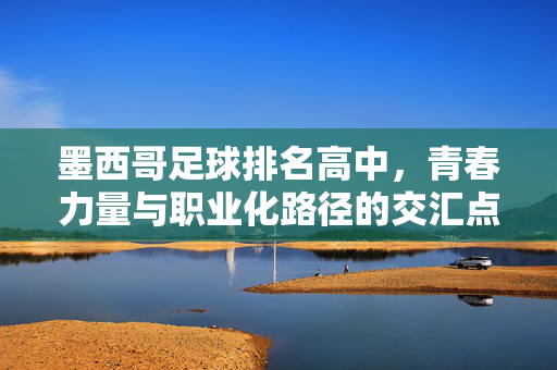 墨西哥足球排名高中,青春力量与职业化路径的交汇点——解析青训体系中的关键环节,墨西哥足球排名高中,青春力量与职业化路径的交汇点——解析青训体系中的关键环节