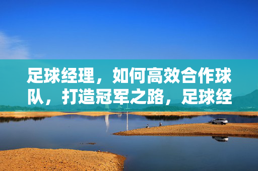 足球经理，如何高效合作球队，打造冠军之路，足球经理，如何高效合作球队，打造冠军之路